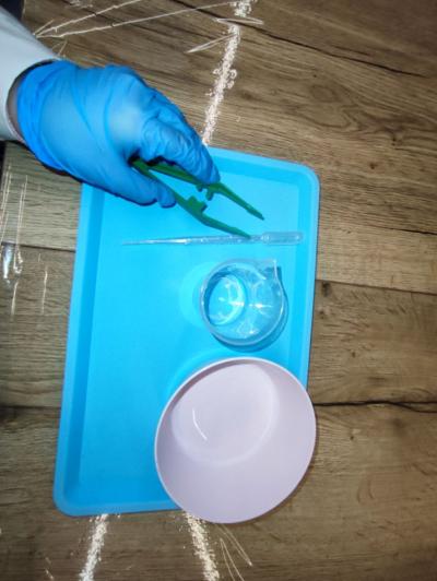 Uczniowie w czasie warsztatów chemicznych - eksperymenty z suchym lodem i zjawisko sublimacji