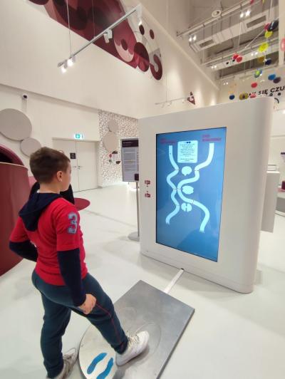 Uczniowie ZSP Libusza w czasie eksplorowania wystawy stałej w Małopolskim Centrum Nauki Cogiteon w Krakowie