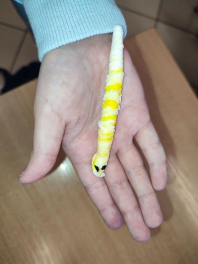 Eksperymenty z papierem