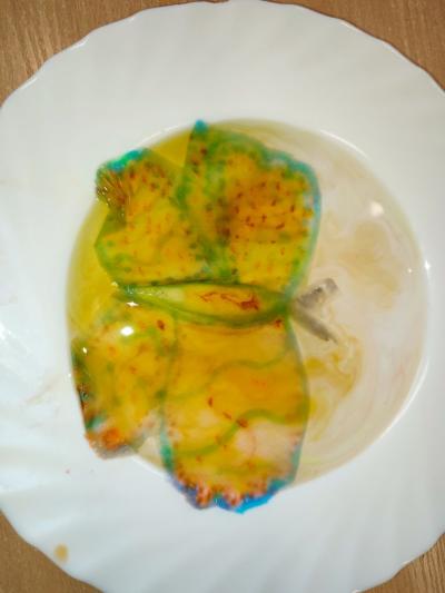 Eksperymenty z wodą, papierem i kolorowymi mazakami