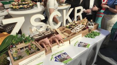 Udział młodzieży w XXI Targach Edukacyjnych - stanowiska poszczególnych szkół i pracodawców.