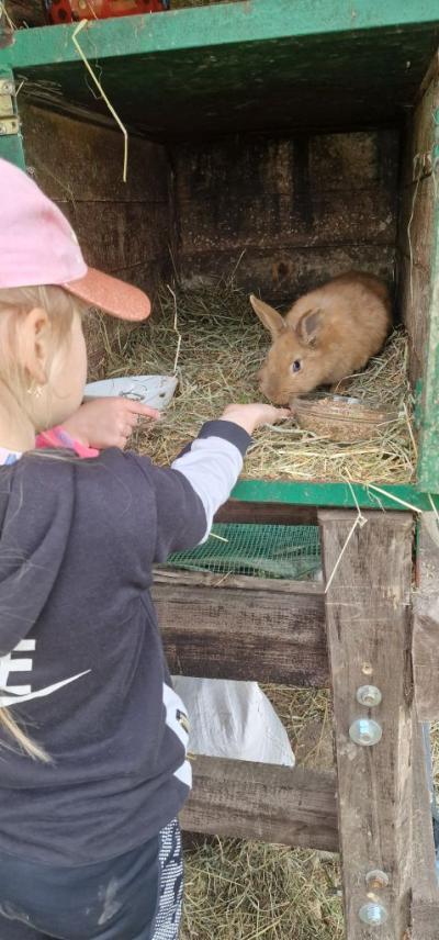 Dziewczynka karmi królika