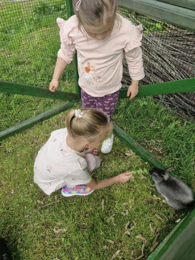 Dzieci karmią królika