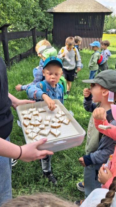 Poczęstunek dla dzieci. Kanapeczki z kozim serem. W każdą wbita jest wykałaczka co umożliwia higieniczne częstowanie się