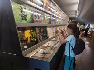Uczniowie w Muzeum Motyli