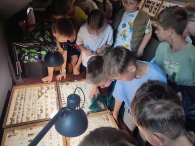 Uczniowie w Muzeum Motyli