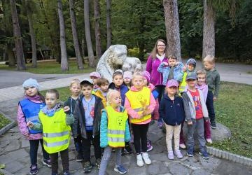 grupa sówki