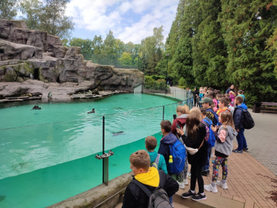 Dzieci oglądaja basen z pingwinami. Widać niebieską wodę a w tle na skałach siedzą pingwiny.