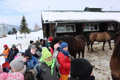 Dzieci zwiedzają stadninę. W tle stajnia, boksy, konie. Dzieci głaszczą głowę konia.