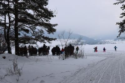 Przerwa w kuligu. Sanie z końmi stoją na skraju lasu. Obok bawią się śniegiem dzieci.