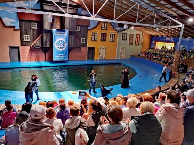 Pokaz talentów i inteligencji fok i uchatek, w największym w Polsce fokarium Sea Park w Sarbsku.