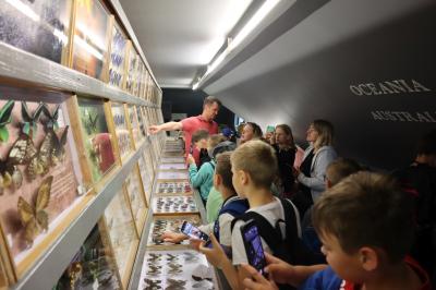 Dzieci oglądają w muzeum motyli kolekcję okazów zgromadzonych za szklanymi witrynami. Przewodnik pokazuje  motyle i opisuje ich cechy.