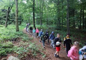 Klasy czwarte wędrują zielonym szlakiem turystycznym. Uczniowie przechodzą leśną ścieżką pod dużymi drzewami.