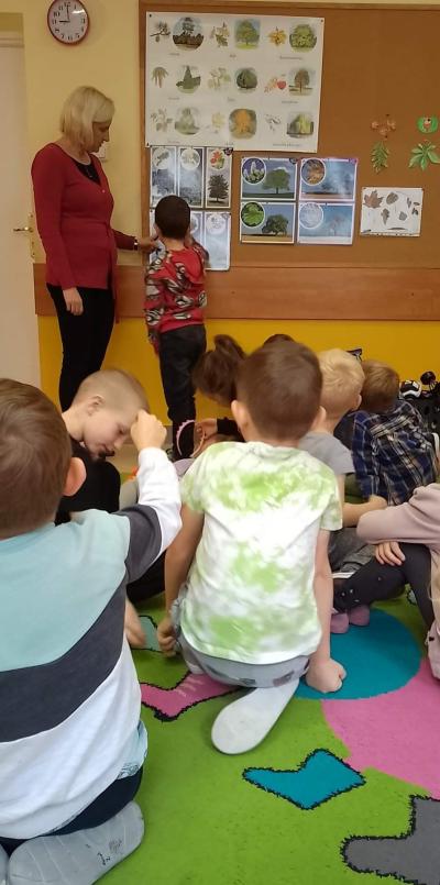 Dzieci siedzą na dywanie przed tablicą korkową w sali przedszkolnej. Jedno dziecko wskazuje ilustrację drzewa liściastego a nauczyciel podaje jego nazwę.