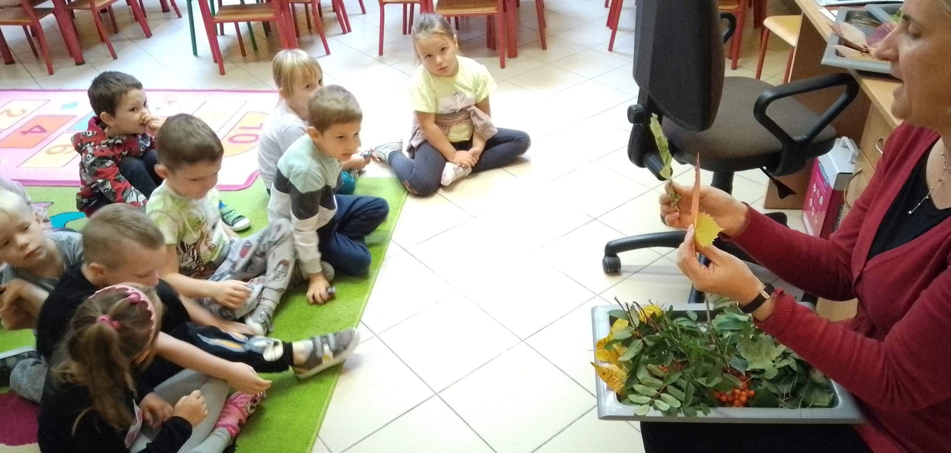 Dzieci siedzą na dywanie przed nauczycielem, który nazywa liście trzymające w dłoniach. Na kolanach ma tacę z kolorowymi liśćmi z różnych gatunków drzew.