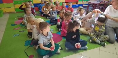 Dzieci siedzą w trzech rzędach na dywanie. Pierwsze dzieci w rzędzie trzymają w dłoniach jabłka. Nauczyciel siedzi obok jednego rzędu i pokazuje sposób przekazywania sobie jabłek nad głowami .
