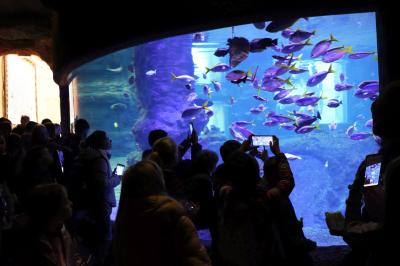 Uczniowie zwiedzają wrocławie zoo. Oglądanie oceanarium i pływających ryb.